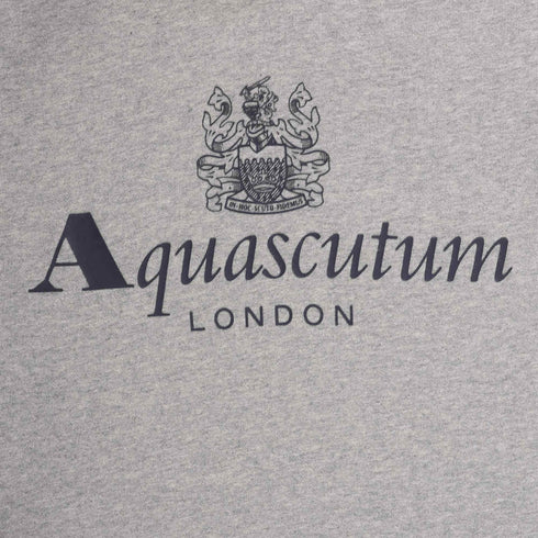 ACTIVE BIG LOGO HOODIE FLEECE LIGHT MELANGE GREY S